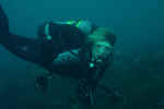 Random diving photo!